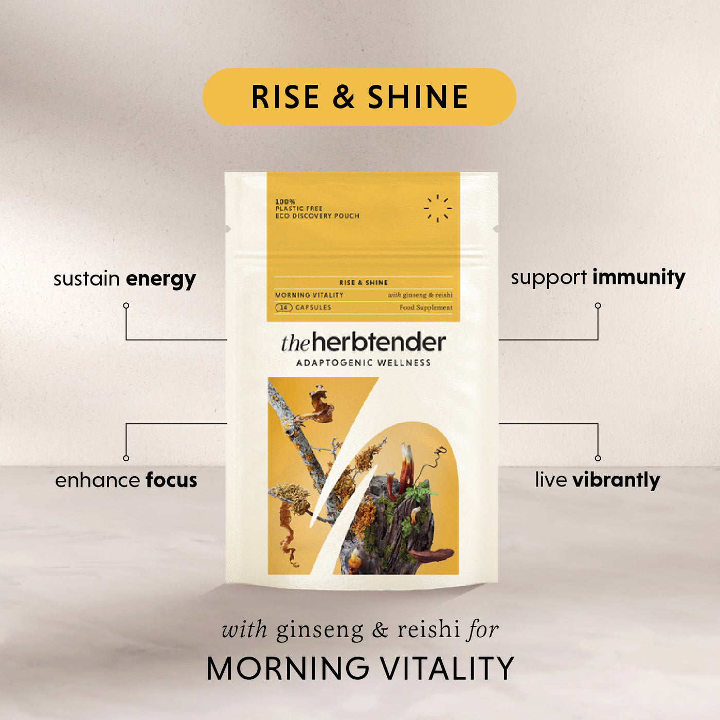 Rise & Shine: Discovery