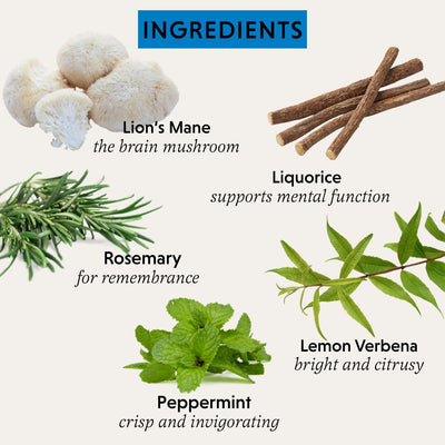 Pure Focus Organic Herbal Tea